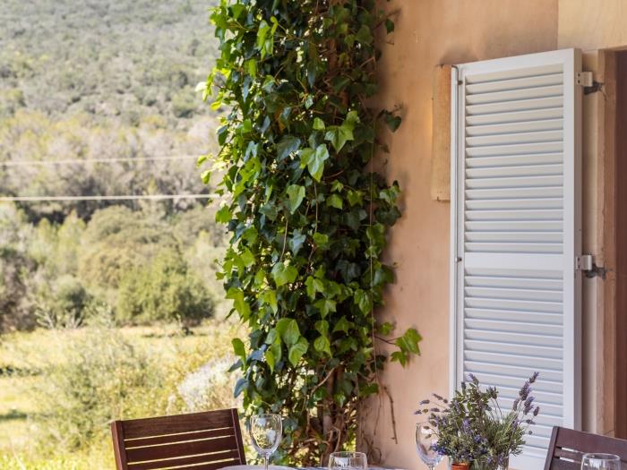 Mallorca Countryside Finca with Pool and Nature 22