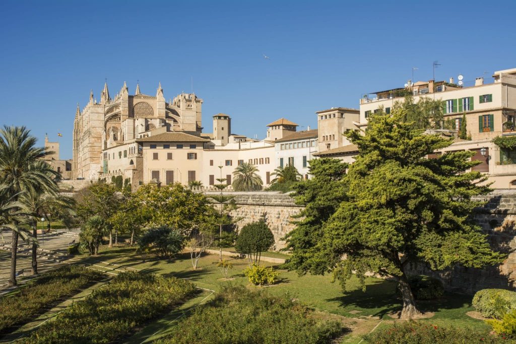 Palma
